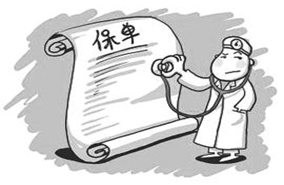 什么是投保单