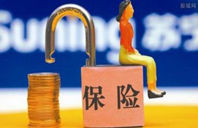 什么是保险保障金 保险保障金的核算