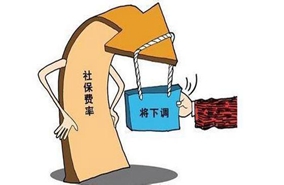 什么是保险费率 保险费率的构成