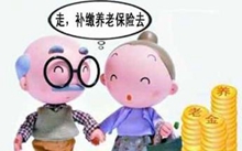 个人补缴养老险