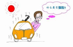 交强险投保时间