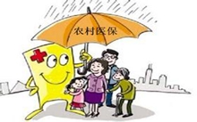 农村医疗保险报销范围