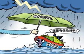 什么是信用保险 信用保险和保证保险有什么区别?